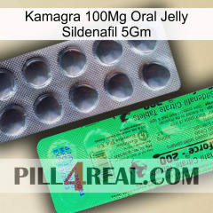 Kamagra 100Mg Oral Jelly Sildenafil 5Gm new04